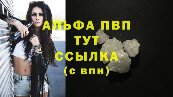 винт Алексин