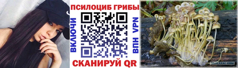 продажа наркотиков Солнечногорск mega ссылка Галлюциногенные грибы Psilocybine cubensis